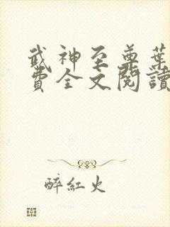 武神至尊叶风免费全文阅读无弹窗