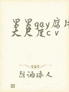 男男gay腐片大尺度cⅴ