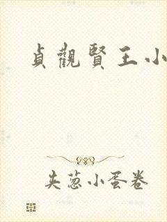 贞观贤王小说