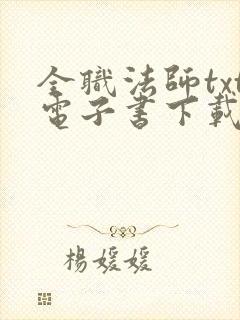 全职法师txt电子书下载