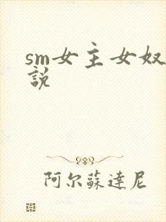 sm女主女奴小说
