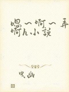 嗯～啊～弄嗯～啊h小说封面