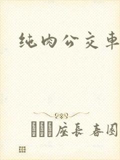 纯肉公交车h文