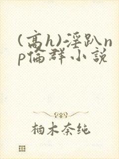 (高h)淫趴np伦群小说