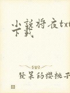 小说将夜txt下载