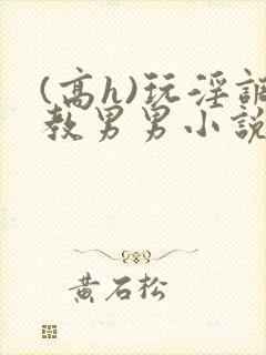 (高h)玩淫调教男男小说封面