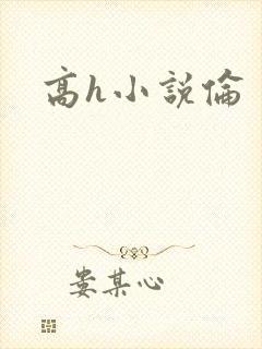 高h小说伦
