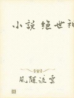 小说 绝世神帝