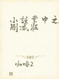 小说掌中之物未删减版