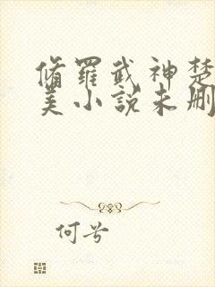 修罗武神楚枫苏美小说未删版全集