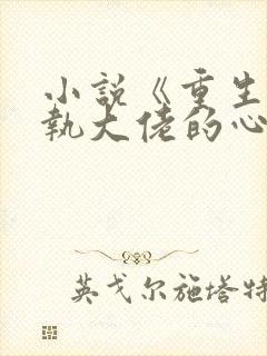 小说《重生成偏执大佬的心上人》