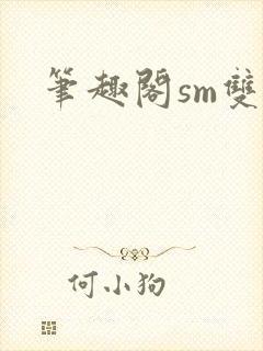 笔趣阁sm双男