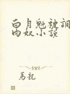 白月魁被调教成肉奴小说