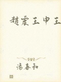 赵震王申王乙封面