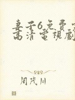 妻子6免费完整高清电视剧看