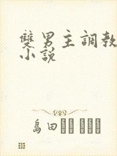 双男主调教sm小说