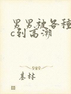 男男被各种姿势c到高潮封面