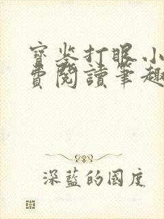 宝鉴打眼小说免费阅读笔趣阁