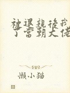 被退亲后我嫁给了当朝大佬txt