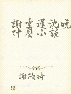 谢云迟沈晚梨是什么小说封面