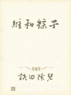 维和粽子