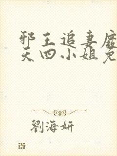 邪王追妻废材逆天四小姐免费阅读全文