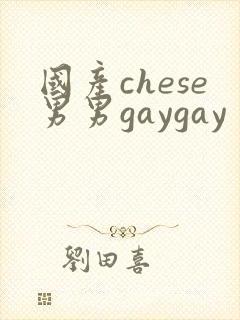国产chese男男gaygay