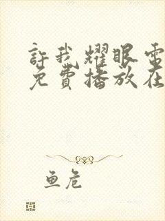 许我耀眼电视剧免费播放在线