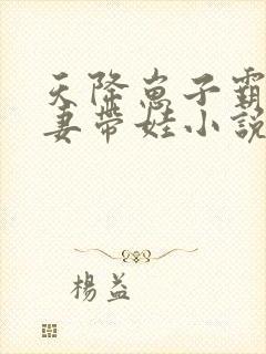 天降崽子霸总追妻带娃小说免费阅读全文