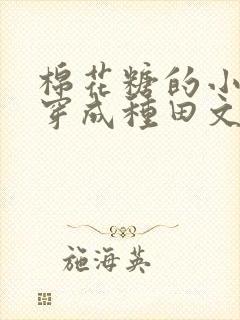 棉花糖的小说 穿成种田文封面