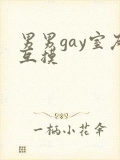 男男gay室友互摸