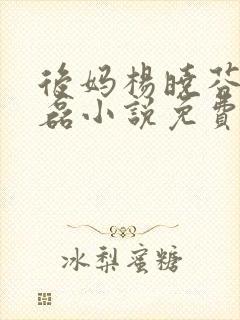 后妈杨晓芬与王磊小说免费阅读