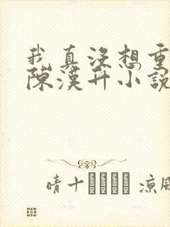 我真没想重生啊陈汉升小说原版封面
