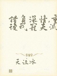 错负深情,重生后我宠夫灭渣小说