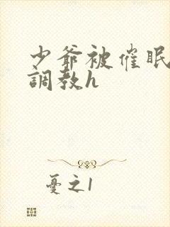 少爷被催眠玩弄调教h