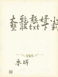 大乾憨婿小说完整版txt下载