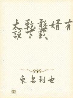 大乾憨婿有声小说下载