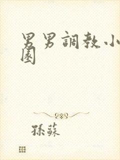 男男调教小说校园封面