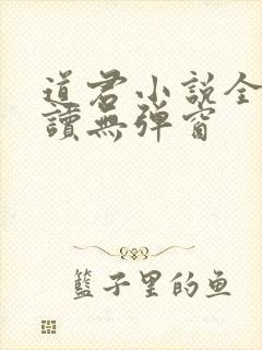 道君小说全文阅读无弹窗