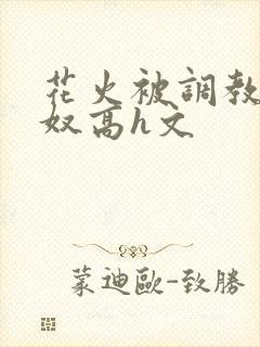 花火被调教成肉奴高h文封面