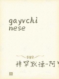 gayvchinese
