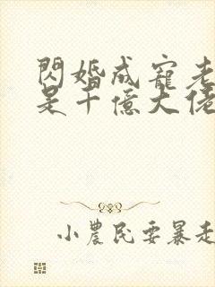 闪婚成宠老公竟是千亿大佬免费阅读全文