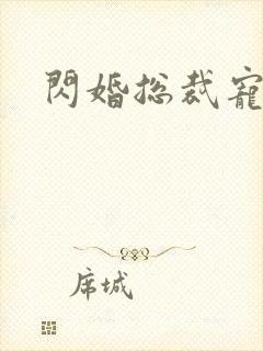 闪婚总裁宠甜妻