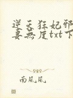 逆天狂妃邪王宠妻无度txt下载