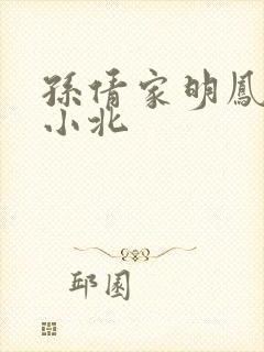 孙倩家明凤枝与小北