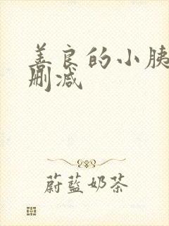 善良的小胰子无删减