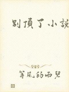 别顶了小说