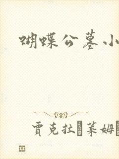 蝴蝶公墓小说