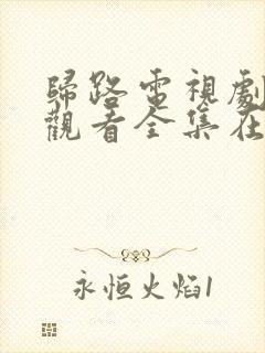 归路电视剧免费观看全集在线播放封面