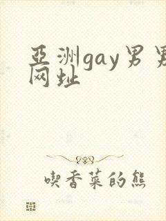 亚洲gay男男网址